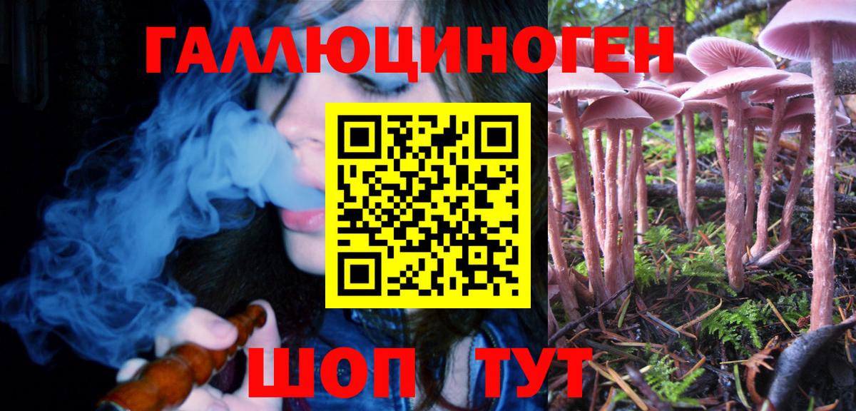 Галлюциногенные грибы ЛСД  Псилоцибиновые грибы Psilocybe  Вход с VPN  Углич 